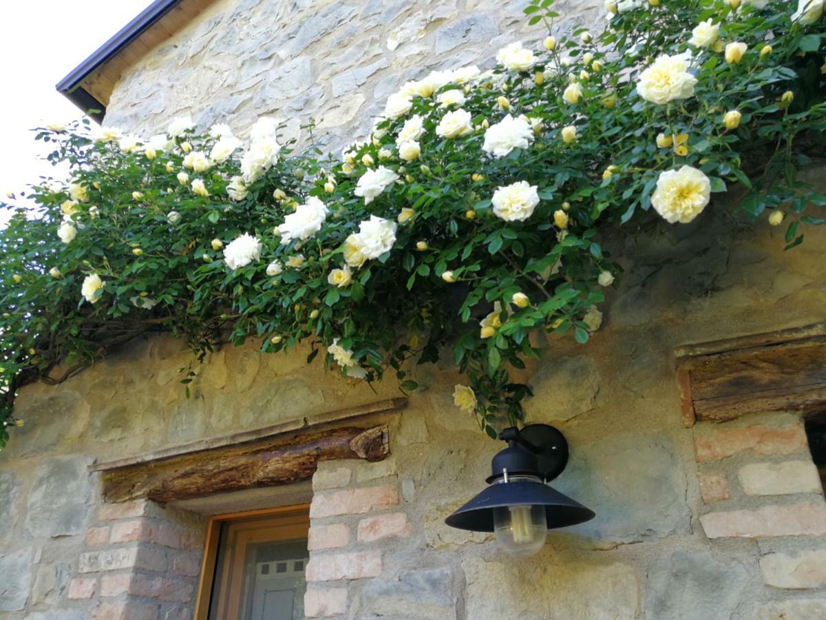 Villa Ca Di Minu Tarzo Exterior foto